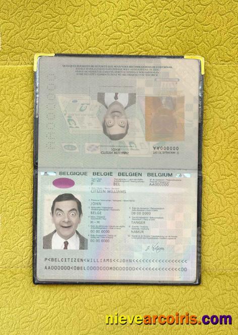 Belgium passport (2014-2017) photolook